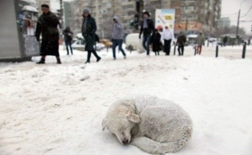 如何拍摄出漂亮的雪景