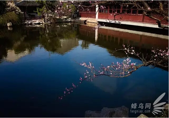 摄影入门：只盯着最好的 你才会越来越好