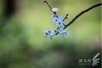 摄影入门：只盯着最好的 你才会越来越好