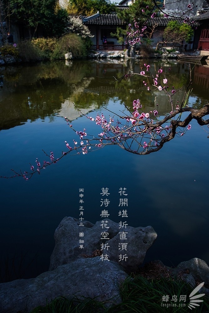摄影入门：只盯着最好的 你才会越来越好