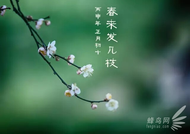 摄影入门：只盯着最好的 你才会越来越好
